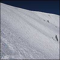 Aspen with Dave and Dave, 2008