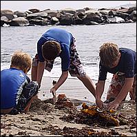 Stonington Reunion 2009