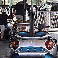 Goshen Fair 2009