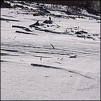 2010 Blizzard Day-After
