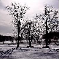 2010 Blizzard Day-After