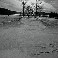 2010 Blizzard Day-After