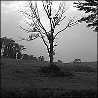 Salisbury, Labor Day Weekend