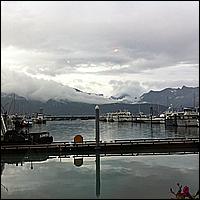 Great Alaskan Adventure 2011