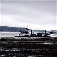 Great Alaskan Adventure 2011
