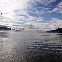 Great Alaskan Adventure 2011