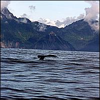 Great Alaskan Adventure 2011