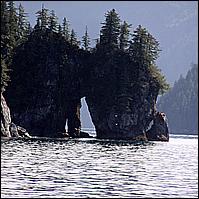 Great Alaskan Adventure 2011