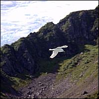 Great Alaskan Adventure 2011