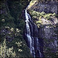 Great Alaskan Adventure 2011