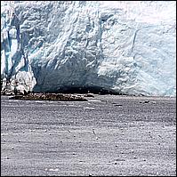 Great Alaskan Adventure 2011