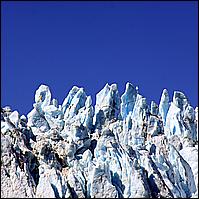 Great Alaskan Adventure 2011