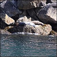 Great Alaskan Adventure 2011