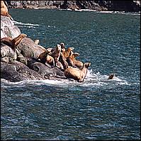 Great Alaskan Adventure 2011