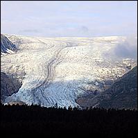 Great Alaskan Adventure 2011