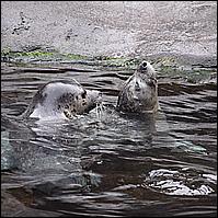 Great Alaskan Adventure 2011