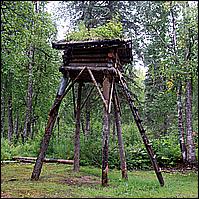 Great Alaskan Adventure 2011