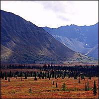 Great Alaskan Adventure 2011