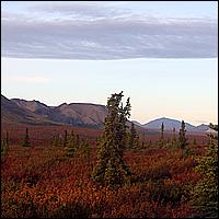 Great Alaskan Adventure 2011