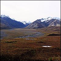 Great Alaskan Adventure 2011